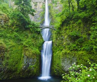 Walking bridge over a double waterfall surrounded by lush green mountain side